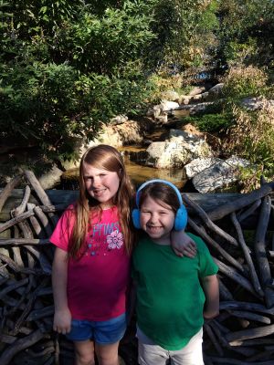 Free stock photo of adult, africa, athlete